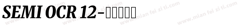 SEMI OCR 12字体转换